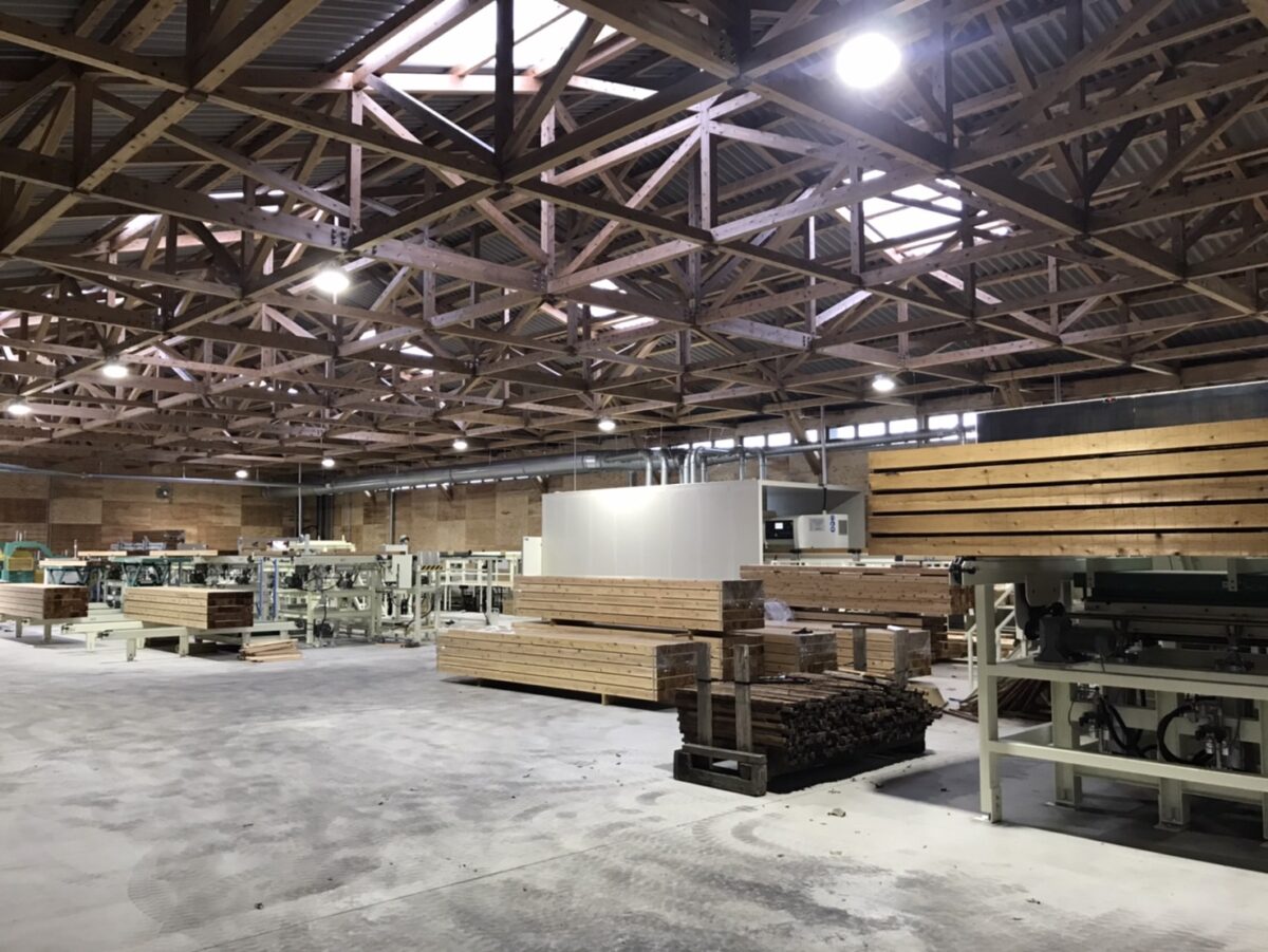 モルダーライン全体