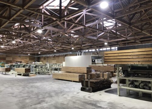 モルダーライン全体