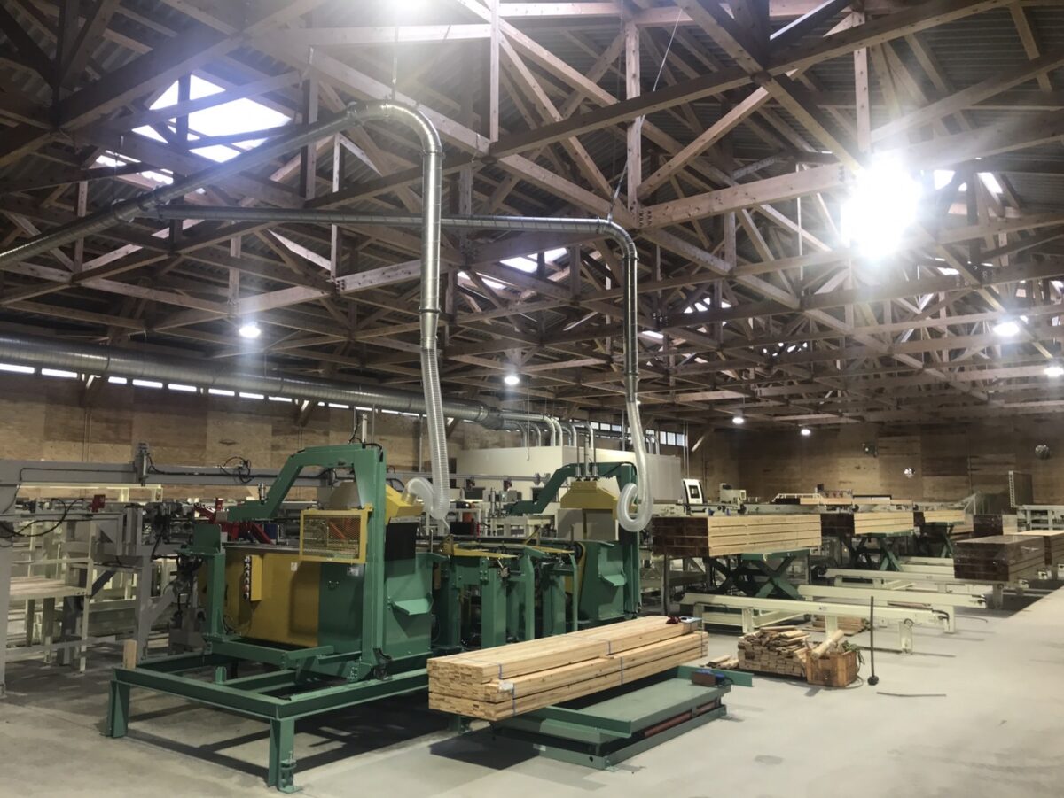 モルダーライン全体２